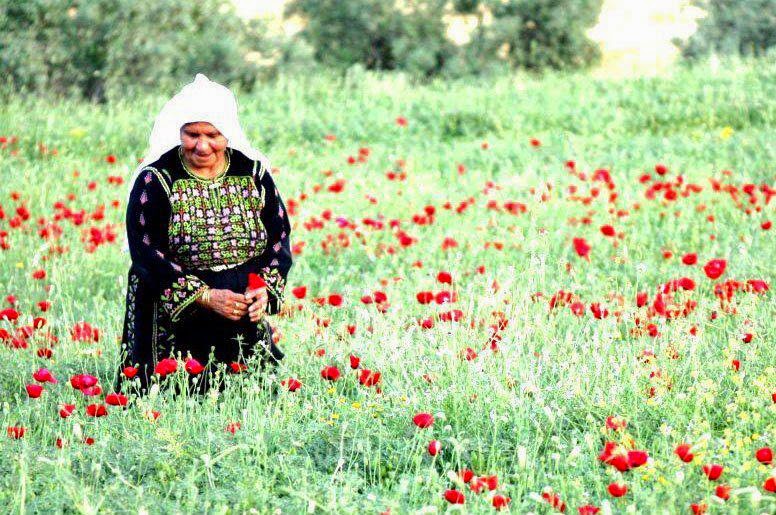 صور نسوان - ما معنى نسوان 2257 5