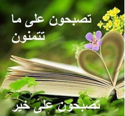 كلمات تصبحون على خير مزخرفه 752 6