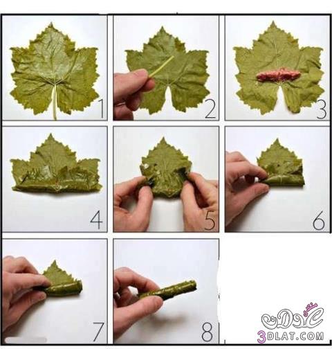 كيفية لف ورق العنب - طريقة مميزة للف ورق العنب 7812