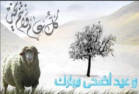 تهنئة عيد الاضحى - خلفيات تهاني لعيد 1471 4