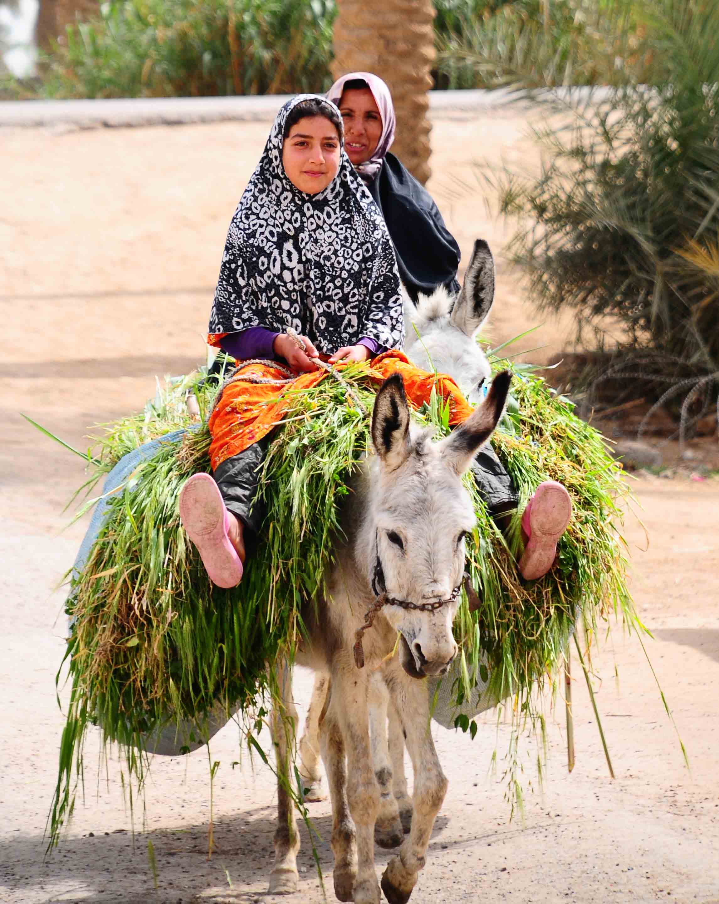 صور نسوان - ما معنى نسوان 2257 3