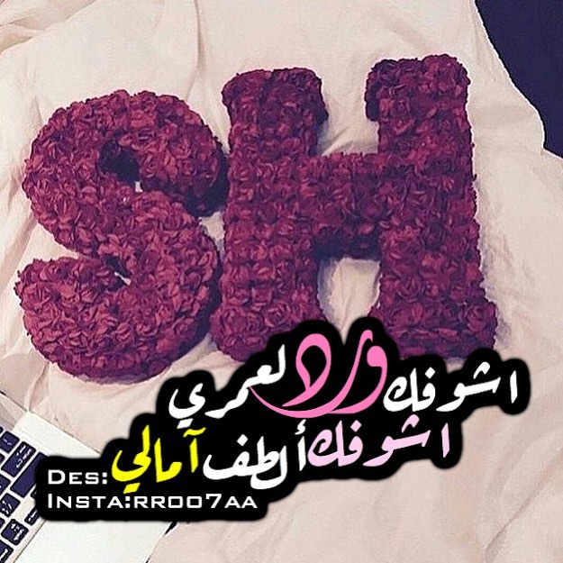 صور حرف Sh - اجمل خلفيات بحرف من اسمك ش او Sh 3555 1