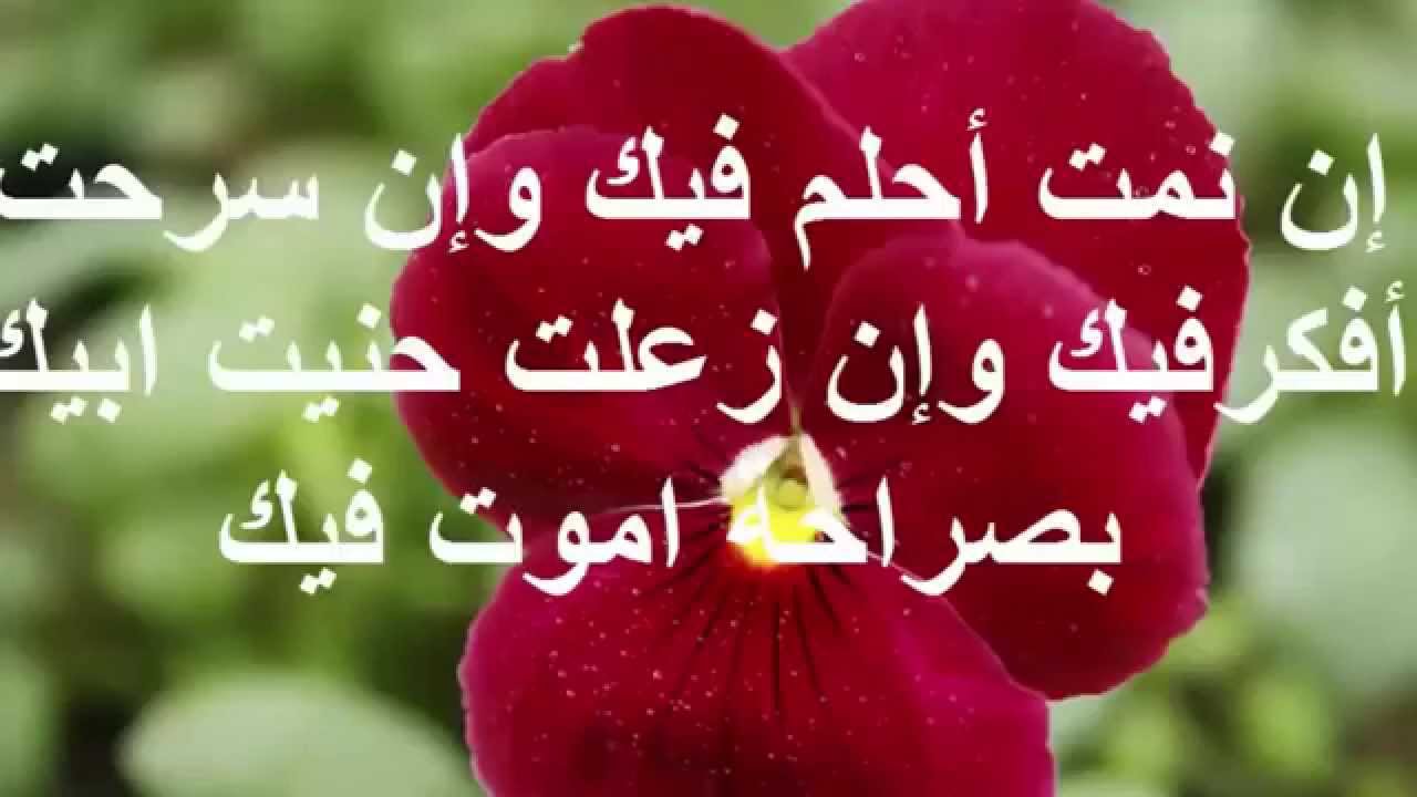 كلمات اهداء للحبيب - احلي واجمد اهداءات للحبيب ⁦♥️⁩ 8640 5