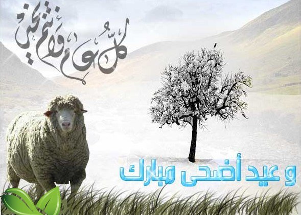 اهداءات عيد الاضحى - اجمل التهاني بمناسبة عيد الأضحى 👇 8590