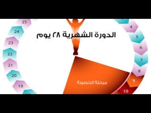 افضل وقت للحمل - ماهو الموعد المثالي لحدوث الحمل 1774 1