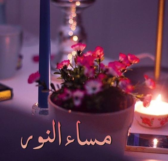 خواطر مسائية - عبارات قصيرة عن المساء 2627 9