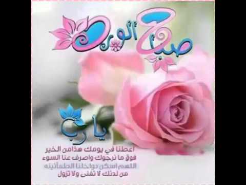 ورد صباح - صباح الورد متحركة 2019 2347 1