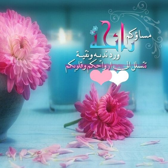 صور صباح - احلى خلفيات عن الصباح و المساء 3313 8