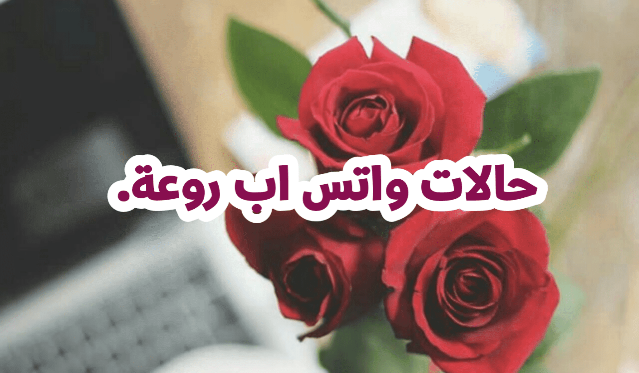 حالات واتس اب روعه- لاستخدامها حالات تعبر عن رأي أصحابها 223