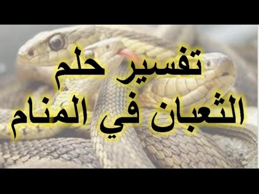 ما تفسير حلم الثعبان - ما معني الثعبان في الحلم 👇 8674