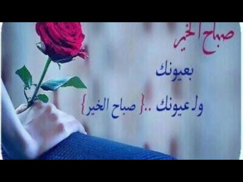 اجمل كلام الصباح للحبيب - اجمل صباح الخير لحبيبي ⁦❤️⁩ 8448 8