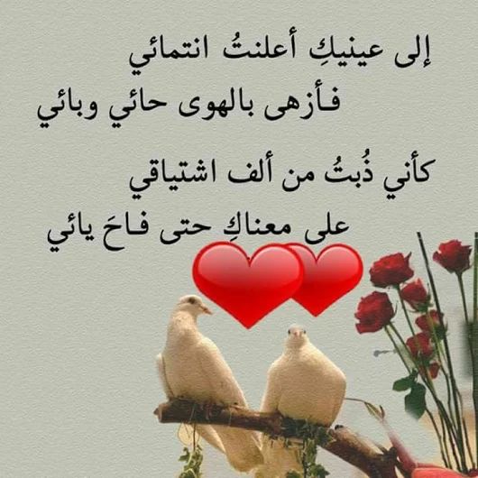 شعر حب وغرام للحبيب 7515