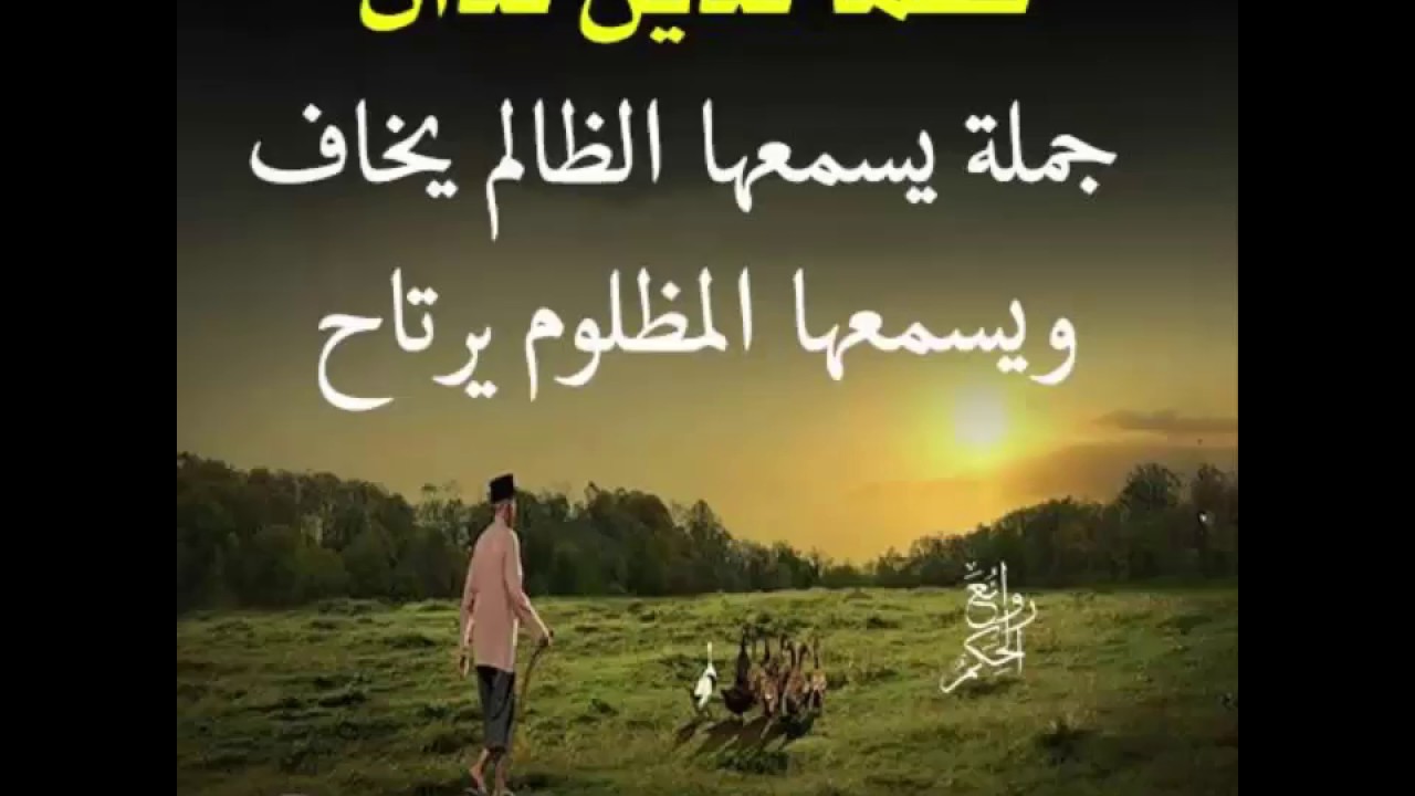 حكم من ذهب 3767 1