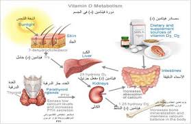 اسباب نقص فيتامين د - معلومات طبيه رائعه 1401 1