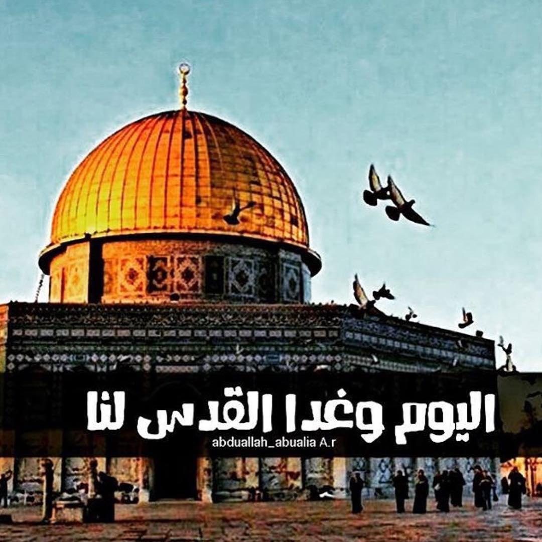 شعر عن فلسطين،حقا تستحقي اجمل الكلمات المعبرة 252 10