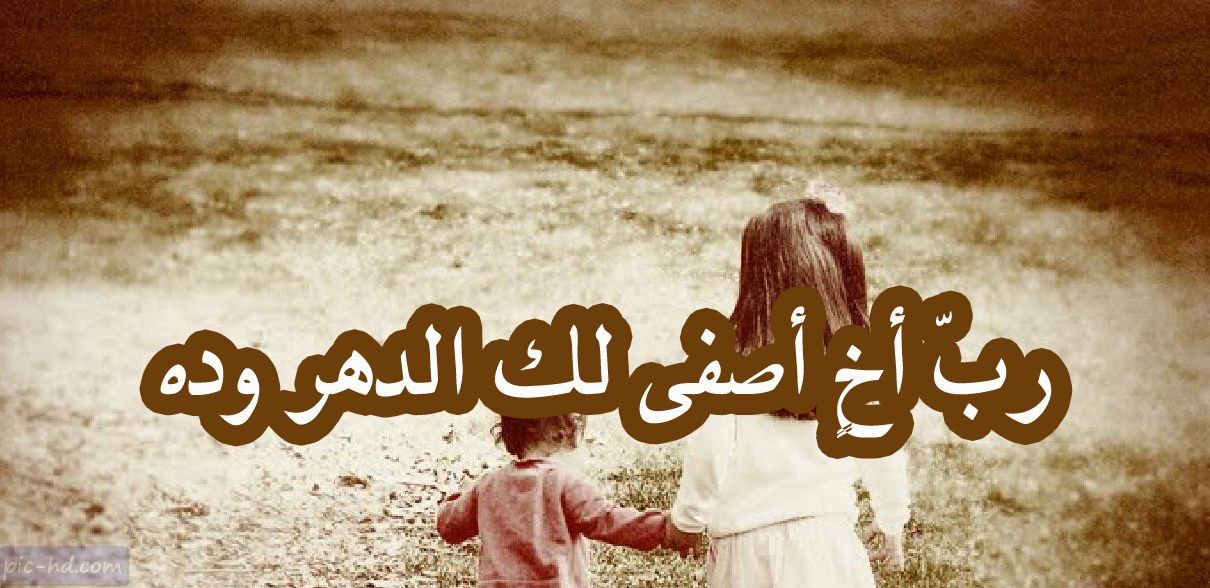 شعر عن الاخ الحنون 3921 1