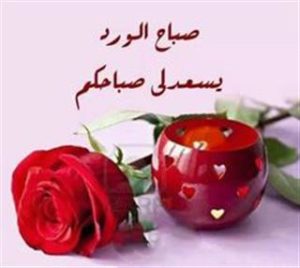 اجمل صباح - صور صباحية رائعة 2151 7