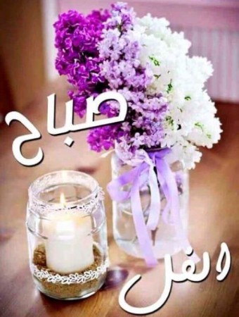 صباح الخير وكل الخير - اجمل صور صباح الخير 2059 10