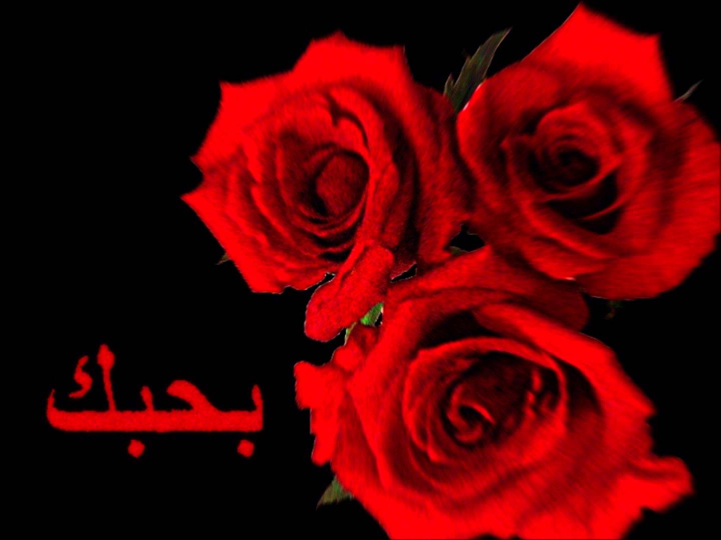 صور كلمة بحبك - خلفية الي كل حبيب عليها كلمة بحبك I Love You 3581 1