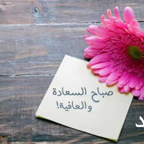 صباح البركة - اجمل صور صباحية 2117 7