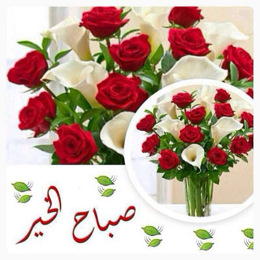 صور صباح الورد ، احلي نهار سعيد علينا 743 9