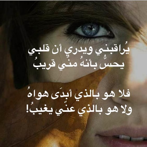 شعر في الحب - صور ابيات شعرية عن الغرام 3494 5