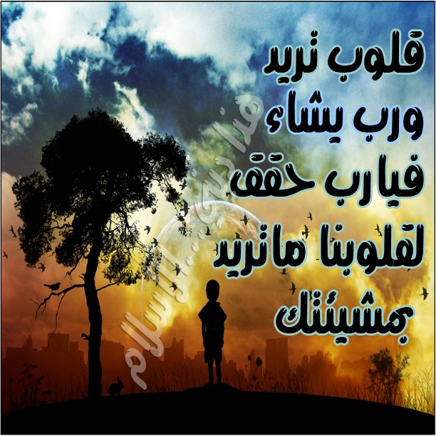 تنزيل حالات واتس اب - تحميل حالة واتس اب 3228 15