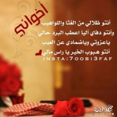 شعر قصير عن الاخ - اشعار جميله للاخ 1277 9