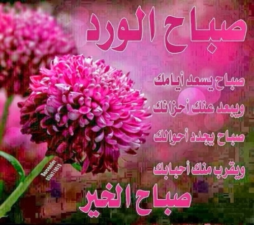 قصائد سعاد الصباح 7425 2