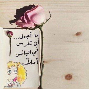 صور جميله للواتس - احلى صور واتس اب 2311 2