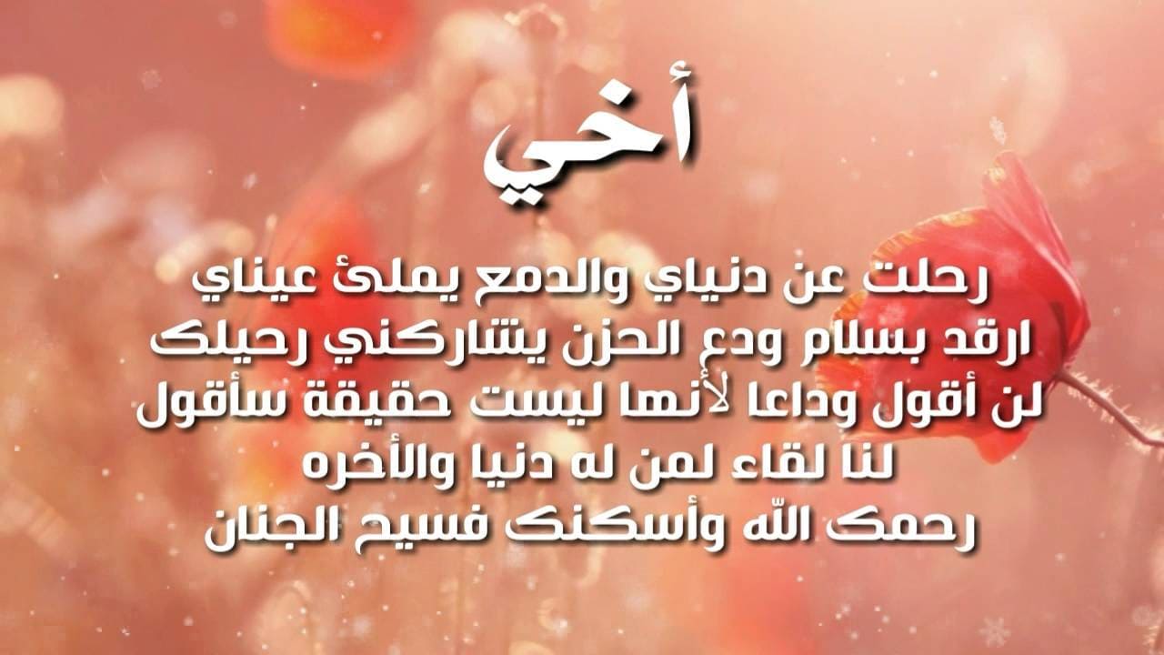 حالات عن الاخ- اجمل وجودك اخي في هذا الحياه 596