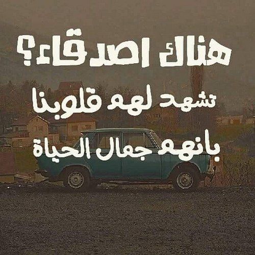 قصيدة عن الصديق - شعر للصديق الوفي 1430 2