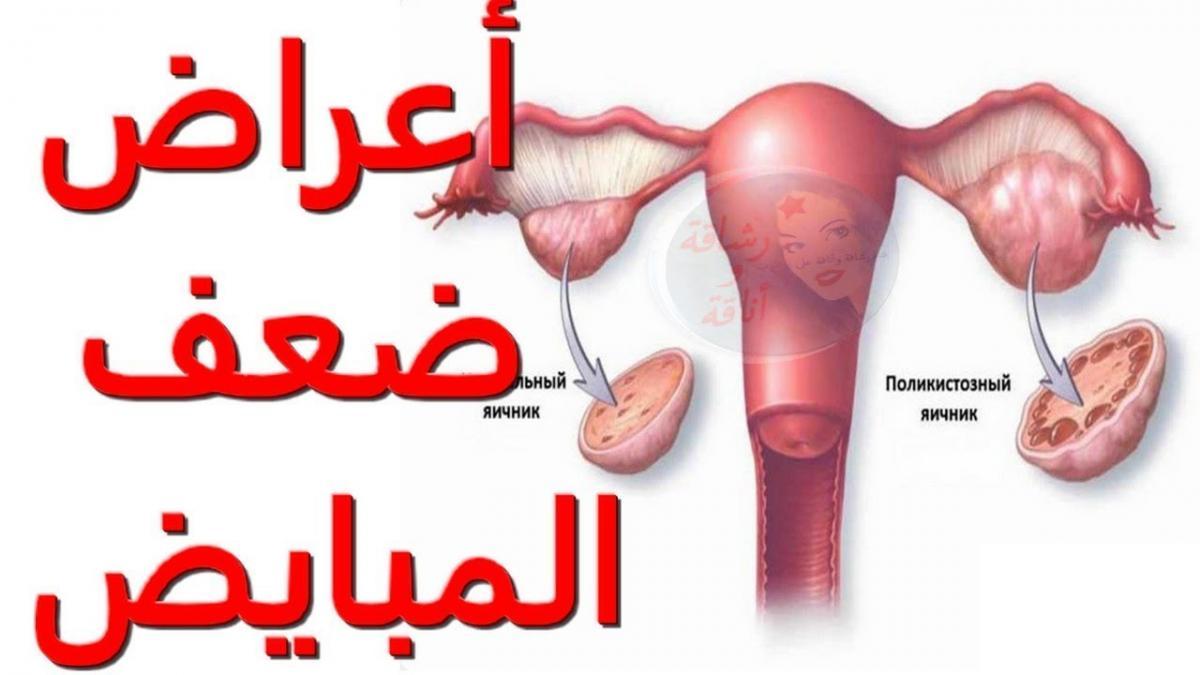 سبب ضعف التبويض , ضعف التبويض يؤخر الحمل