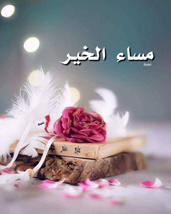 مساء المحبة 3811