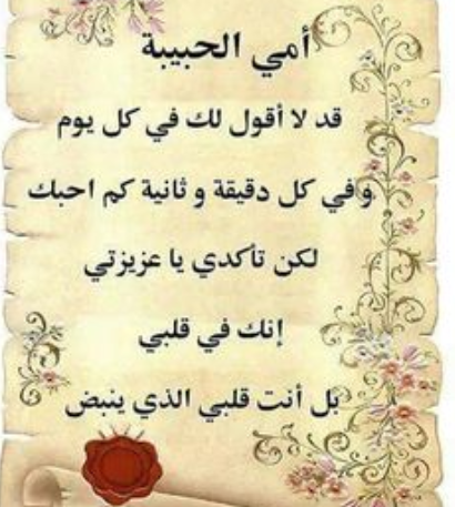 اجمل شعر عن الام 3810 1