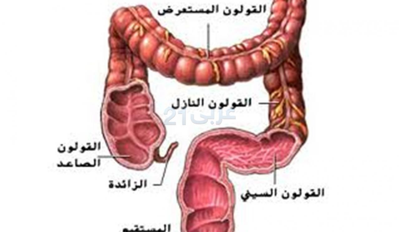 كيف يكون الم القولون العصبي - الم بدون علاج 7423