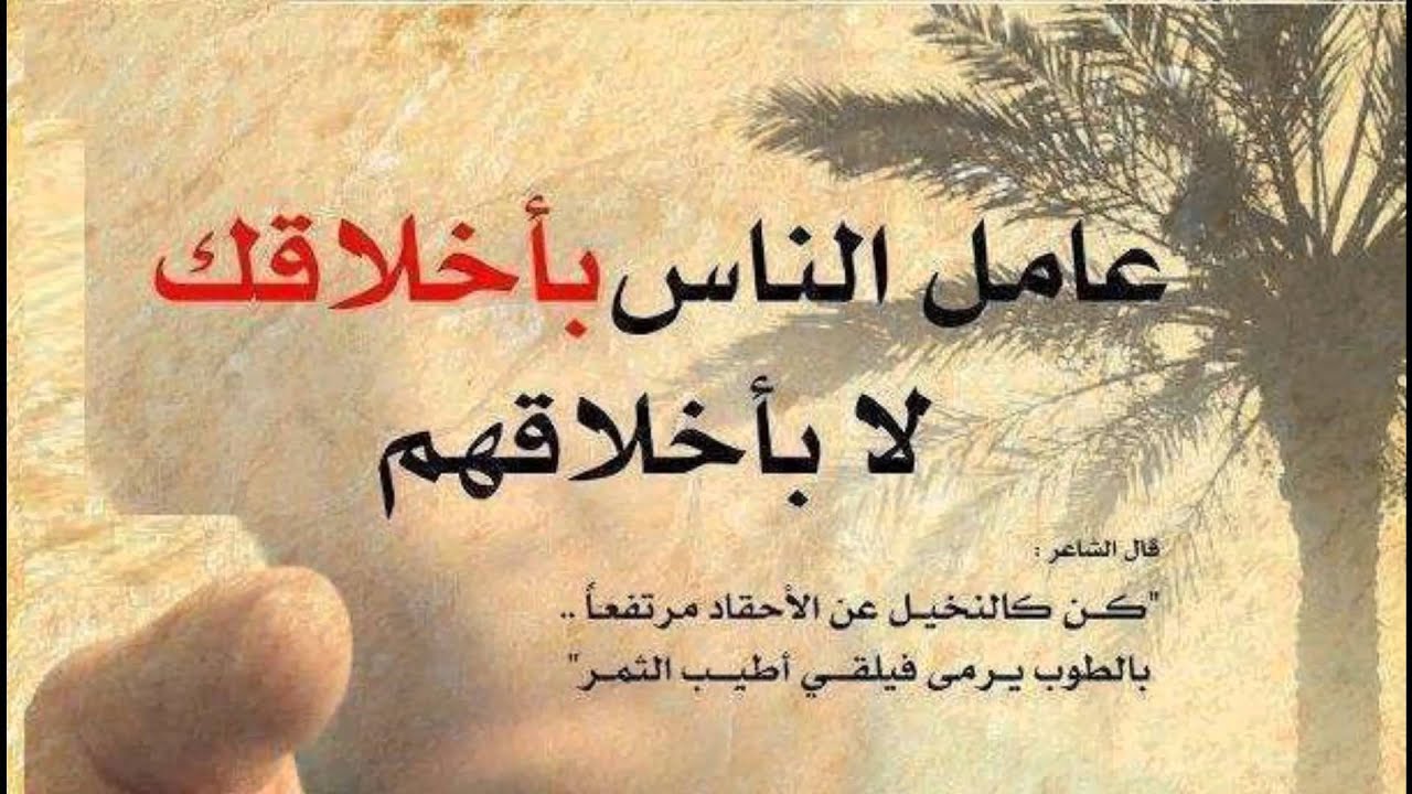 عبارات حكم-لاجمل عبارات المتعددة الانحاء 187 12