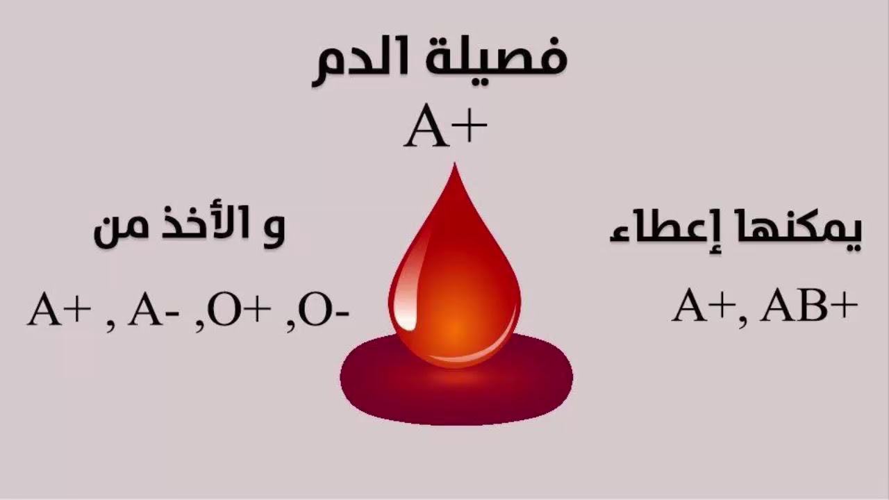 مميزات فصيلة الدم O موجب - كل ما يخص الباحث عن هذا المقال 👇 8677 3