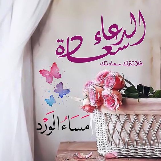 اروع الصور مساء الخير- الخير والسعادة على احلى ناس مساء الخير 7880 1