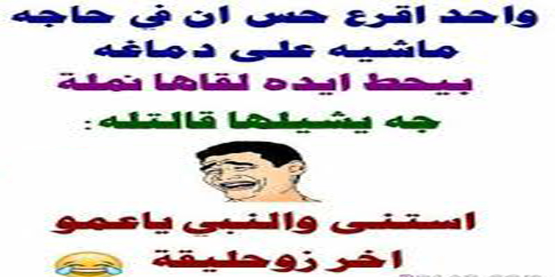 نكت حلوة - اضحك وانسا همومك ومشاكلك كلها 🤣 406 11