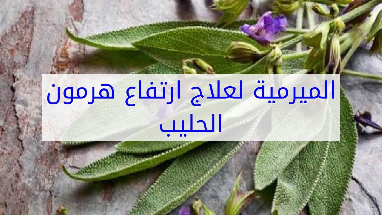 زيادة هرمون الحليب -طريقة طبيعية لعلاج هرمون الحليب 8177 2