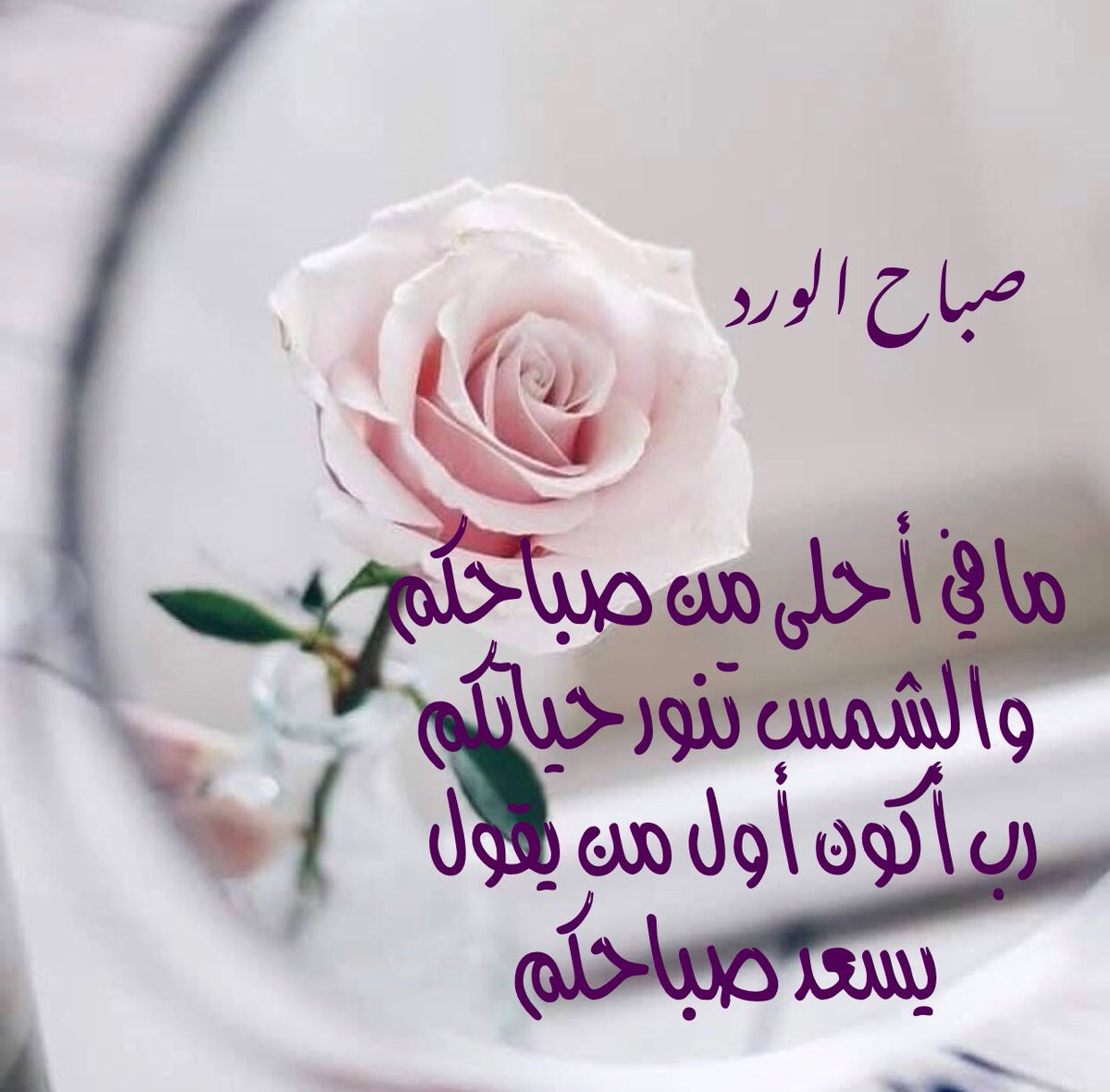 كلمات اهداء للحبيب - احلي واجمد اهداءات للحبيب ⁦♥️⁩ 8640 6