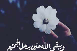 رمزيات متجدده كل يوم 7493 8