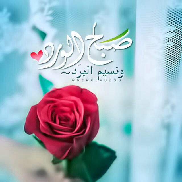 صباح الخير يا عرب - صباح العافية والخير 2552 1