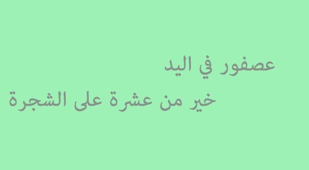 امثال شعبية حلوة - اجمل ما قيل عن الامثال الشعبيه علي الصور 👇 8415 9