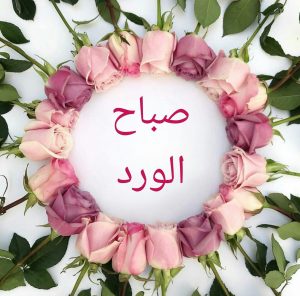 صور صباح الورد ، احلي نهار سعيد علينا 743 8