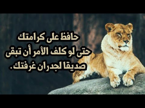 حكم وامثال وكلام من ذهب - حكمه وعبره وكلمات من دهب 1453 6