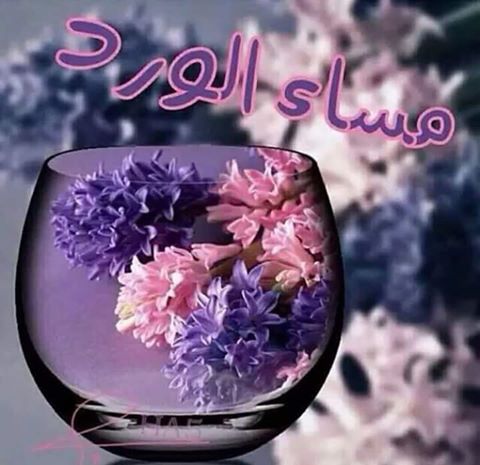 صور مساء - مساء الحب والوفاء 2237 1