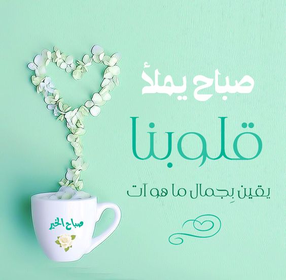 صباح الفل - اجمل صور مكتوب عليها عن الصباح 3657 6