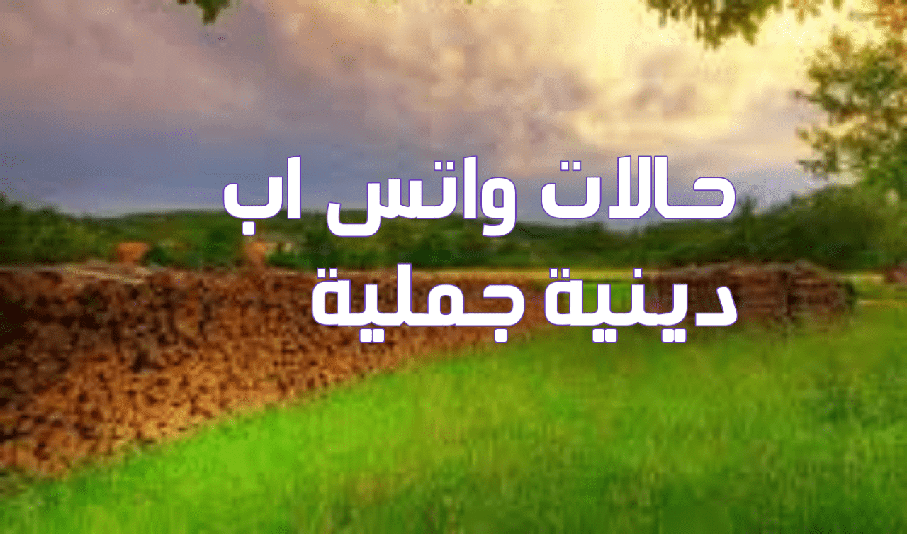 حالات واتس اب مميزه-تحكي عن الروعه في التميزه 645 2